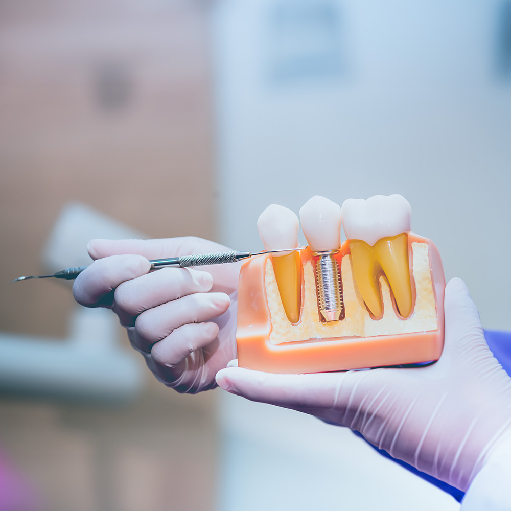 html head title 500 Internal Server Error title head body center h1 500 Internal Server Error h1 center hr center nginx 1.29.3 center body html